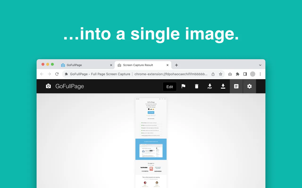 GoFullPage