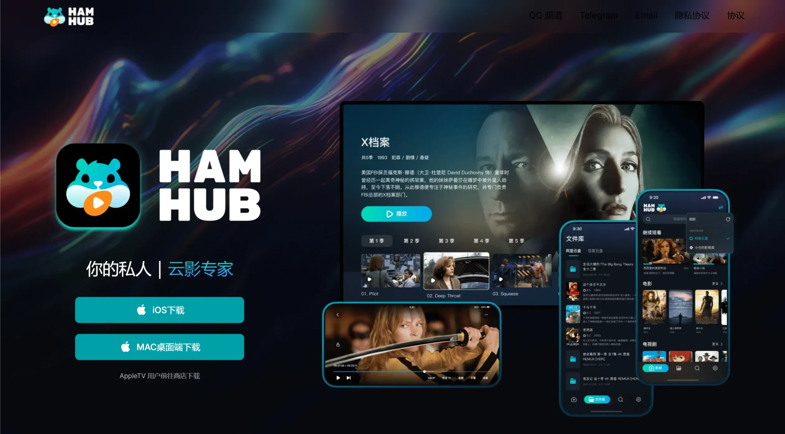 HamHub播放器